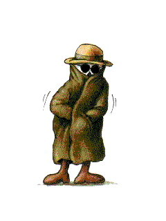 Funny Screensavers 0014